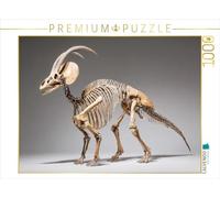 CALVENDO Puzzle Dinosaure Parasaurolophus Squelette avec Peigne de tête distinctif | 1000 pièces Taille de la Pose 64 x 48 cm Puzzle Photo pour des Heures heureuses