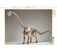 CALVENDO Puzzle Dinosaurier Brachiosaurus-Skelett mit langem Hals und kräftigem