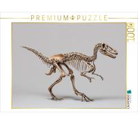 CALVENDO Puzzle Dinosaurier Velociraptor-Skelett - kleiner Raubsaurier mit lange