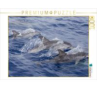 CALVENDO Puzzle Dauphins au Large des côtes de Madère 1000 Pieces 64 x 48 cm from dotmatchbox