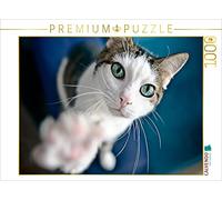 CALVENDO Puzzle Donnez-m'en Cinq ! 1000 Pieces 64 x 48 cm from Thorsten Nilson