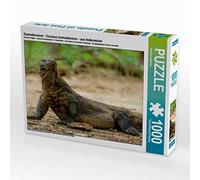 CALVENDO Puzzle Dragon de Komodo - Varanus komodoensis - d'Indonésie 1000 Pieces 64 x 48 cm from Sandra Schänzer