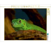 CALVENDO Puzzle Dragon d'eau Chinois 1000 Pieces 64 x 48 cm from Sigrid Enkemeier