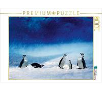 CALVENDO Puzzle Drôle de Famille de Pingouins dans Une tempête de Neige 1000 Pieces 64 x 48 cm from Heike Hultsch
