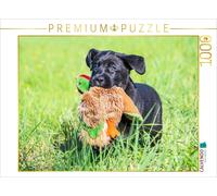 CALVENDO Puzzle Duck hunting | 1000 pieces, finished size 25.2 × 18.9 in (64 × 4