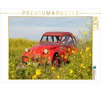 CALVENDO Puzzle Duck in Glebsenf | 1000 pieces, finished size 25.2 × 18.9 in (64