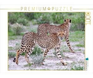 CALVENDO Puzzle Duo Guépard 1000 Pieces 64 x 48 cm from Wibke Woyke
