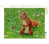 CALVENDO Puzzle Écureuil - imm Encore Mignon 1000 Pieces 64 x 48 cm from Peter Roder