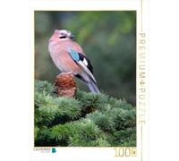 CALVENDO Puzzle Eichelhäher 1000 Teile Puzzle Hoch 1000 Pieces 48 x 64 cm from Dieter Wilczek