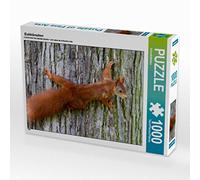 CALVENDO Puzzle Eichhörnchen 1000 Teile Puzzle quer 1000 Pieces 64 x 48 cm from SchnelleWelten