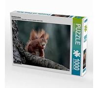 CALVENDO Puzzle Eichhörnchen 1000 Teile Puzzle quer 1000 Pieces 64 x 48 cm from SchnelleWelten