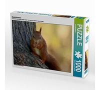 CALVENDO Puzzle Eichhörnchen 1000 Teile Puzzle quer 1000 Pieces 64 x 48 cm from SchnelleWelten