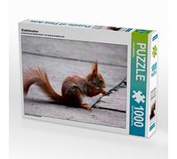CALVENDO Puzzle Eichhörnchen 1000 Teile Puzzle quer 1000 Pieces 64 x 48 cm from SchnelleWelten