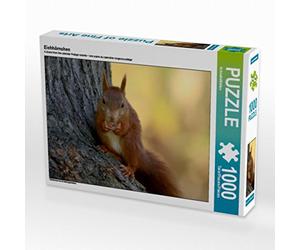 CALVENDO Puzzle Eichhörnchen 1000 Teile Puzzle quer 1000 Pieces 64 x 48 cm from SchnelleWelten
