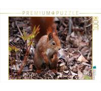 CALVENDO Puzzle Eichhörnchen im Herbstlaub 1000 Teile Puzzle quer 1000 Pieces 64 x 48 cm from SchnelleWelten