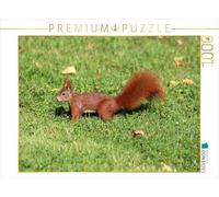 CALVENDO Puzzle Eichhörnchen im ParkEichhörnchen 1000 Teile Puzzle quer 1000 Pieces 64 x 48 cm from SchnelleWelten