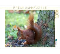CALVENDO Puzzle Eichhörnchen in freier Natur 1000 Teile Puzzle quer 1000 Pieces 64 x 48 cm from SchnelleWelten