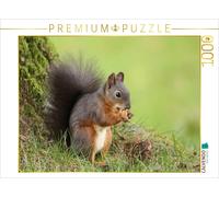 Puzzle CALVENDO Un écureuil avec une grappe de noix fraîchement cueillie. | 1000