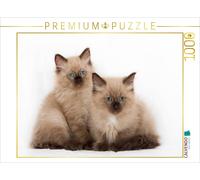 CALVENDO Puzzle Ein Bild aus dem Kalender Erstaunlich Ragdoll Kätzchen | 1000 Te