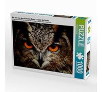 CALVENDO Puzzle EIN Bild aus dem Kalender Eulen • Augen der Nacht 1000 Teile Puzzle quer 1000 Pieces 64 x 48 cm from Elisabeth Stanzer