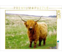 CALVENDO Puzzle Ein echter Highlander 1000 Teile Puzzle quer | 1000 pieces, fini