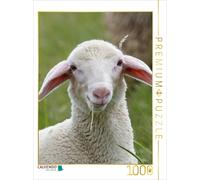CALVENDO Puzzle Ein Lamm der Rasse Merinolandschafe | 1000 Teile Lege-Größe 64x4
