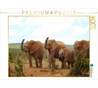 CALVENDO Puzzle Ein Motiv aus dem Kalender African Elephants in Addo | 1000 Teil