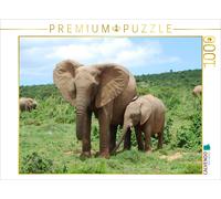 CALVENDO Puzzle Ein Motiv aus dem Kalender African Elephants in Addo | 1000 Teil