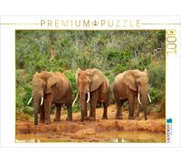 CALVENDO Puzzle Ein Motiv aus dem Kalender African Elephants in Addo | 1000 Teil