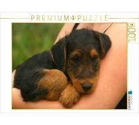 CALVENDO Puzzle An image from the Airedale Terrier Puppies calendar | 1000 piece