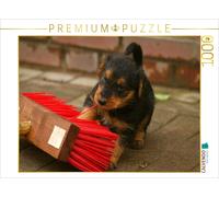 CALVENDO Puzzle An image from the Airedale Terrier Puppies calendar | 1000 piece