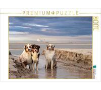 CALVENDO Puzzle EIN Motiv aus dem Kalender Australian Shepherd 2022 1000 Teile Puzzle quer 1000 Pieces 64 x 48 cm from Annett Mirsberger
