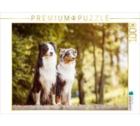CALVENDO Puzzle An image from the 2017 Australian Shepherds Calendar | 1000 piec