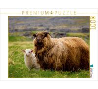 CALVENDO Puzzle Ein Motiv aus dem Kalender Beautiful Nature - Iceland 1000 Teile