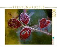 CALVENDO Puzzle EIN Motiv aus dem Kalender Blumen und Blätter in abstrakter Art 1000 Teile Puzzle quer 1000 Pieces 64 x 48 cm from Loro-Artwork