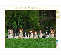 CALVENDO Puzzle Ein Motiv aus dem Kalender Border Collie 2017 | 1000 Teile Lege-