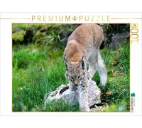 CALVENDO Puzzle Ein Motiv aus dem Kalender Der Luchs - Der Jäger auf leisen Pfot