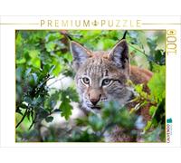 CALVENDO Puzzle Le Lynx - Le Chasseur aux Pattes silencieuses 1000 Pieces 64 x 48 cm from Arno Klatt