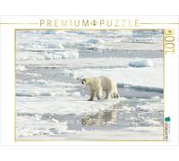 CALVENDO Puzzle Ein Motiv aus dem Kalender Eisbären - Könige der Arktis | 1000 T