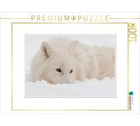 CALVENDO Puzzle Ein Motiv aus dem Kalender Emotionale Momente: Polarwölfe. / CH-