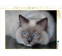 CALVENDO Puzzle Ein Motiv aus dem Kalender Engel auf 4 Pfoten - Ragdolls 2017 |