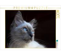 CALVENDO Puzzle Ein Motiv aus dem Kalender Engel auf 4 Pfoten - Ragdolls 2017 |