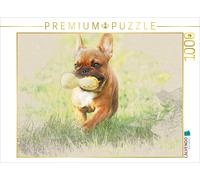CALVENDO Puzzle Ein Motiv aus dem Kalender Französische Bulldoggen 2017 | 1000 T