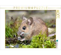 CALVENDO Puzzle Ein Motiv aus dem Kalender... hier kommt die Maus... | 1000 Teil