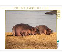 CALVENDO Puzzle Ein Motiv aus dem Kalender Hippos im südlichen Afrika 1000 Teile