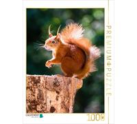 CALVENDO Puzzle Un Motif du Calendrier Corail du Monde Entier | 1000 pièces de la Taille de la Pose 48 x 64 cm Puzzle Photo pour des Heures heureuses