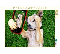 CALVENDO Puzzle Ein Motiv aus dem Kalender Lustige Tier-Selfies. Tierische Selbs