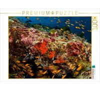 CALVENDO Puzzle Maldives - Le Monde sous-Marin coloré 1000 Pieces 64 x 48 cm from Martin Kraus
