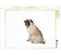 CALVENDO Puzzle Ein Motiv aus dem Kalender Mops - unwiderstehlich und charmant |