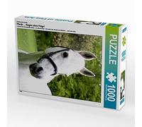 CALVENDO Puzzle EIN Motiv aus dem Kalender Pferde ... fliegen Ohne Flügel 1000 Teile Puzzle Hoch 1000 Pieces 48 x 64 cm from K. Grüttner